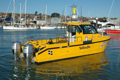 Bateau de pêche-promenade catamaran - Cheetah Marine - hors-bord / bimoteur / à cockpit fermé