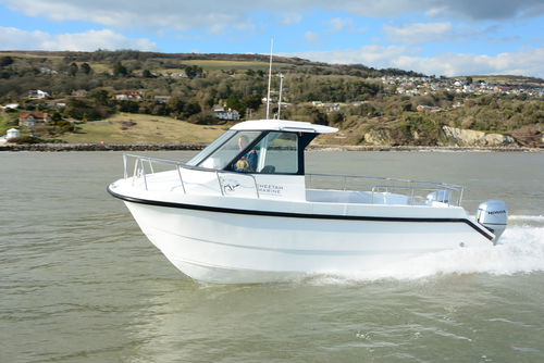 Bateau de pêche-promenade catamaran - Cheetah Marine - hors-bord / bimoteur / avec timonerie