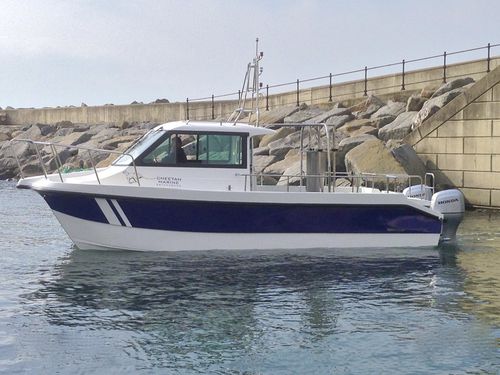 Bateau d'étude hydrographique - Cheetah Marine - catamaran / hors-bord / en aluminium