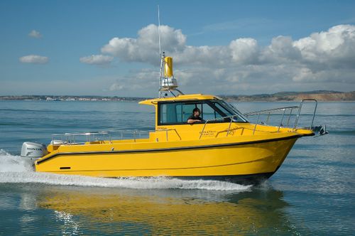 Bateau de pêche-promenade catamaran - Moonstone - Cheetah Marine - hors-bord / bimoteur / à cockpit fermé