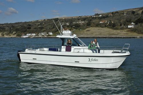 Walkaround catamaran - 3 Fishes - Cheetah Marine - hors-bord / bimoteur / à console centrale