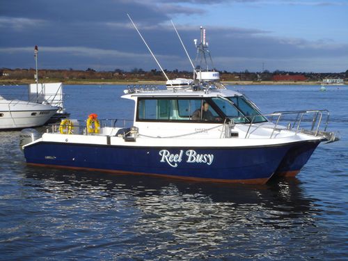 Bateau de pêche-promenade catamaran - Reel Busy - Cheetah Marine - hors-bord / bimoteur / hard-top