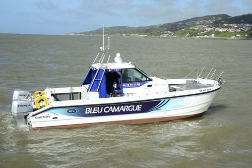 Vedette catamaran - Bleu Camargue - Cheetah Marine - hors-bord / bimoteur / à cockpit fermé