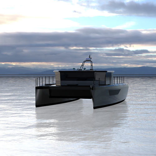 Vedette catamaran - 38 - Etkin Marin - in-bord / bimoteur / hard-top