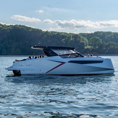 Vedette catamaran - Dracan Marine Sp. z o. o. - in-bord / open / à double console