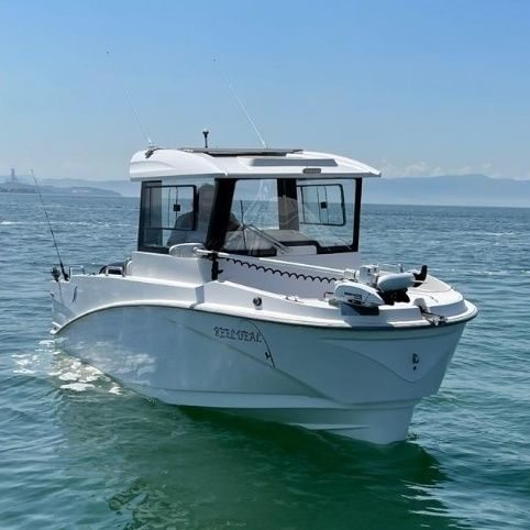 Bateau de pêche-promenade hors-bord - 22 FISHER - Driftmark Marine - à cockpit fermé / de pêche promenade / de croisière