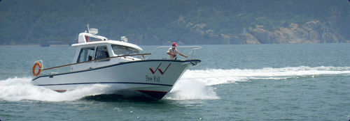 Vedette hors-bord - aurora (dalian) yachts co ltd - bimoteur / à cockpit fermé / de pêche sportive