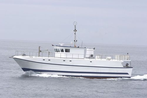 Navire de pêche palangrier - 3500 - 2500 SL - ARESA SHIPYARD