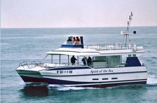 Bateau promenade - SPIRIT OF THE SEA  - Drassanes Dalmau, S.A - catamaran / in-bord