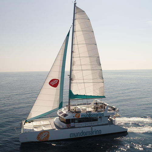 Bateau à passagers - MUNDO MARINO ECO - Drassanes Dalmau, S.A - catamaran / hybride diesel-électrique / pour personne à mobilité réduite