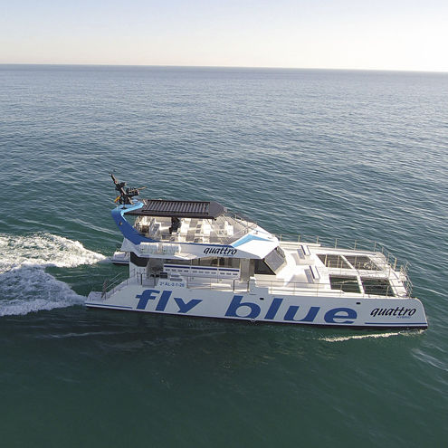 Bateau promenade - FLY BLUE QUATTRO - Drassanes Dalmau, S.A - catamaran / in-bord