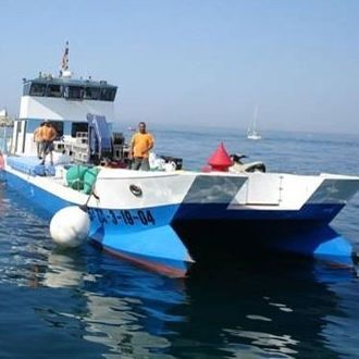 Bateau de travail - SEMAC 25 - Drassanes Dalmau, S.A - bateau de service portuaire / catamaran / in-bord