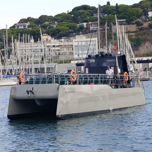 Bateau à passagers - SEAMYSTIC - Drassanes Dalmau, S.A - catamaran / in-bord