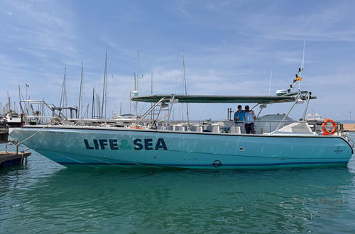 Bateau à passagers - POPEYE LIFEANDSEA - Drassanes Dalmau, S.A - in-bord / en composite
