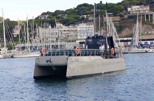 Bateau à passagers - SEAMYSTIC - Drassanes Dalmau, S.A - catamaran / in-bord