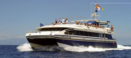 Bateau de pêche professionnelle - Lady Shelley - Drassanes Dalmau, S.A - bateau à fond de verre / catamaran / in-bord