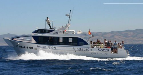 Bateau promenade - FIRMM SPIRIT  - Drassanes Dalmau, S.A - in-bord