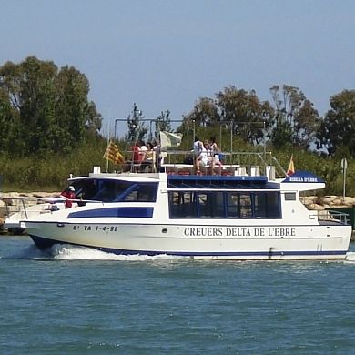 Bateau promenade - RIBERA D'EBRE  - Drassanes Dalmau, S.A - in-bord