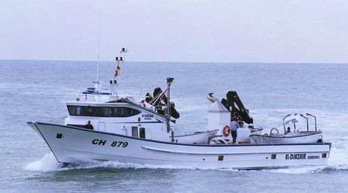 Navire de pêche professionnelle thonier senneur - EL DJAZAIR  - Drassanes Dalmau, S.A