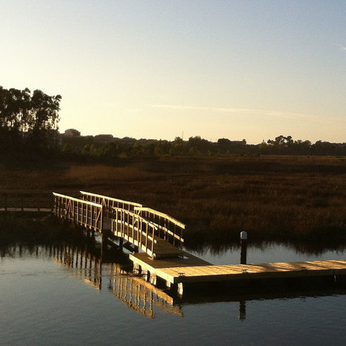 Passerelle pour ponton - ALPD - Lindley Marinas - en bois / avec main courante