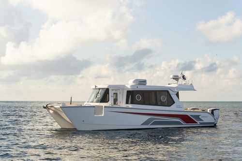 Vedette catamaran - SilverCat 34LUX - SMART OWN - hors-bord / bimoteur / hard-top