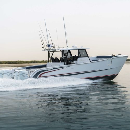Vedette catamaran - SilverCat 40CC​ - SMART OWN - hors-bord / quadrimoteur / hard-top