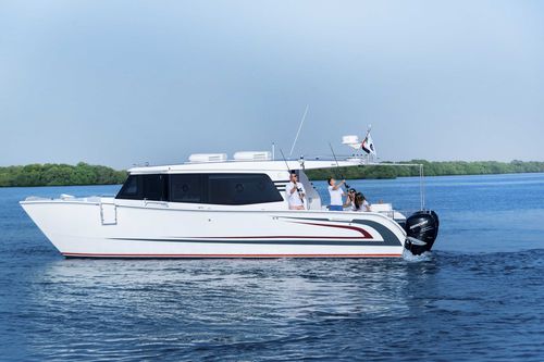 Vedette catamaran - SilverCat 40LUX​ - SMART OWN - hors-bord / bimoteur / hard-top