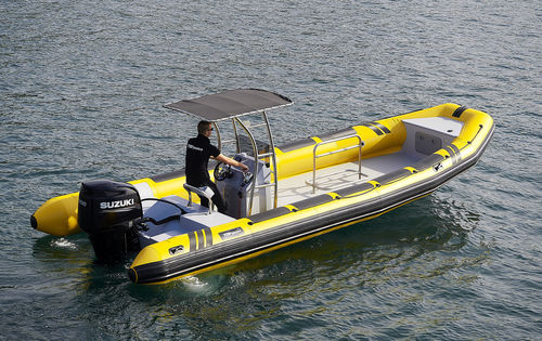 Bateau de travail - DV-65	 - TarponPro - bateau de support pour la plongée / bateau pompier / hors-bord