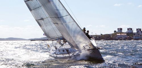 Voilier de course-croisière - Diva 35 - Fabola Yachts - 2 cabines / 3 cabines / à cockpit central