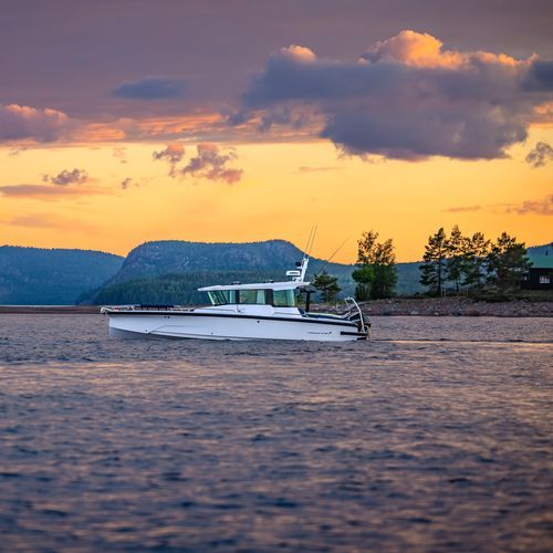 Cabin-cruiser hors-bord - 29 XC Cross - Axopar Boats Oy - bimoteur / avec timonerie / de pêche sportive