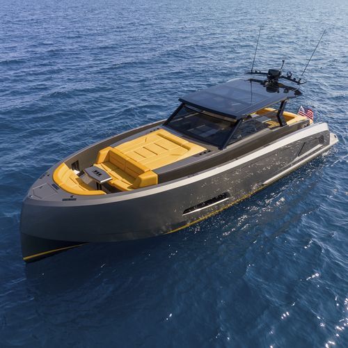 Vedette in-bord - 45 - Vanquish Yachts - bimoteur / à déplacement / open