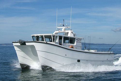 Bateau de pêche professionnelle - Crimson Tide - Catapult Catamarans Marine Projects Ltd - catamaran / in-bord