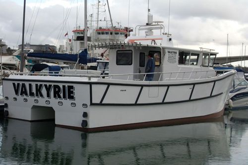 Bateau de pêche professionnelle - Valkyrie - Catapult Catamarans Marine Projects Ltd - catamaran / in-bord