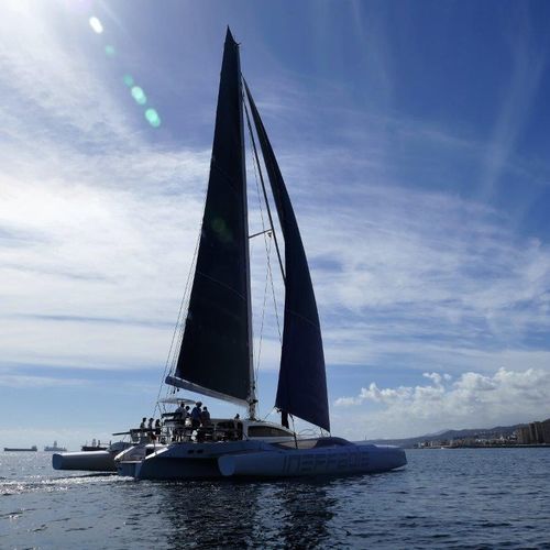 sailing-yacht trimaran - Rapido Trimarans Limited