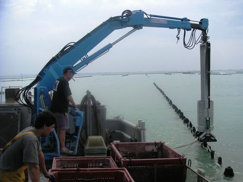 Grue pour navire - 6 TM series - DWG Trading - de pont