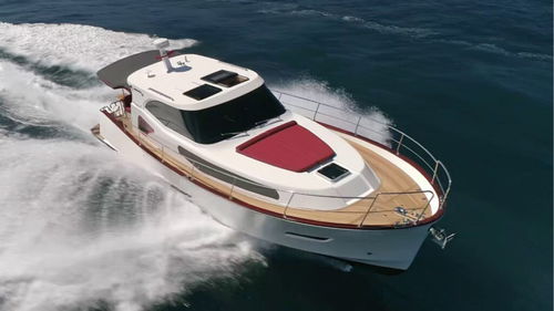 Vedette in-bord - Issa 45 - Monachus Yachts - bimoteur / hard-top / rapide