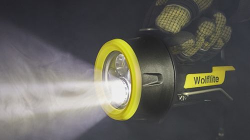 Lampe torche - XT - Wolf Safety Lamp Company Ltd. - marine / pour zones dangereuses / à LED