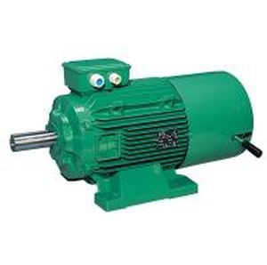Moteur in-bord - FCPL - Leroy-Somer B.V. - auxiliaire / électrique / professionnel