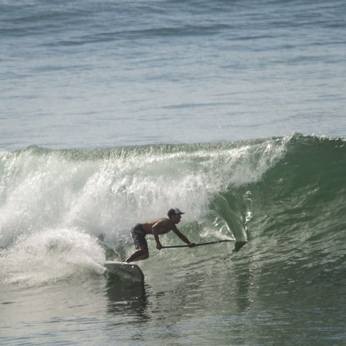 SUP de vagues - 8'1 - Indiana Paddle & Surf - époxy / en mousse / en carbone