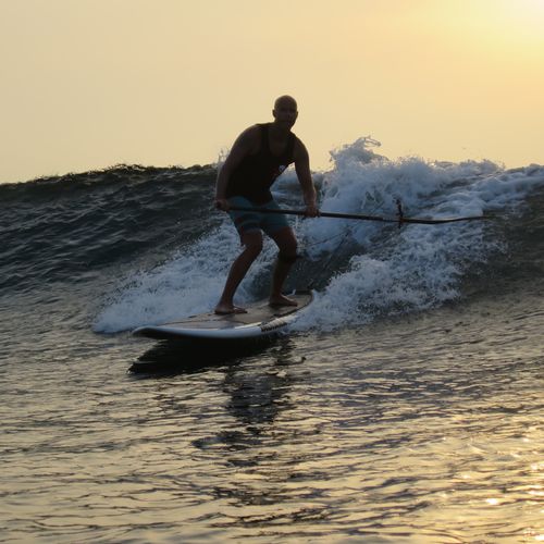 SUP allround - 10'6 - Indiana Paddle & Surf - époxy / bois / en mousse