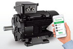 moteur in-bord