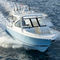 runabout hors-bordDC 286Pursuit Boats