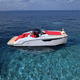 cabin-cruiser catamaran / in-bord / hors-bord / essence