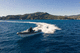 bateau pneumatique in-bord / bimoteur / semi-rigide / à console centrale