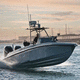 bateau de surveillance / hors-bord / en composite