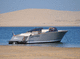 runabout in-bord / à double console / open / max. 12 personnes