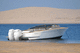 runabout hors-bord / bimoteur / à double console / open