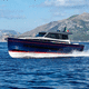 vedette in-bord / bimoteur / hard-top / ligne d'arbre