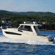bateau de pêche-promenade bimoteur / open / hard-top / de pêche
