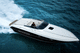 vedette in-bord / bimoteur / open / offshore